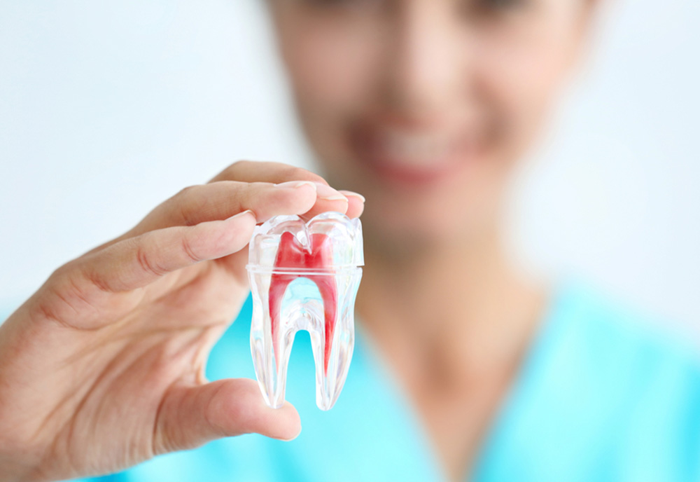 root canal treatment in west edmonton